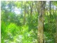 Lot 240 Baldaw, Captain Creek QLD 4677