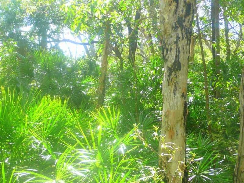 Lot 240 Baldaw, Captain Creek QLD 4677
