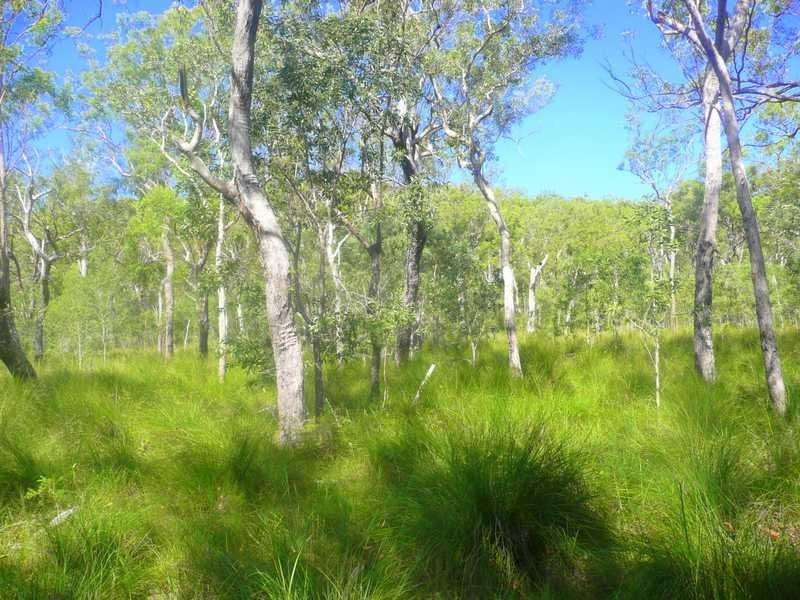 Lot 240 Baldaw, Captain Creek QLD 4677