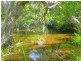 Lot 240 Baldaw, Captain Creek QLD 4677