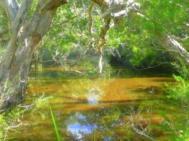 Lot 240 Baldaw, Captain Creek QLD 4677