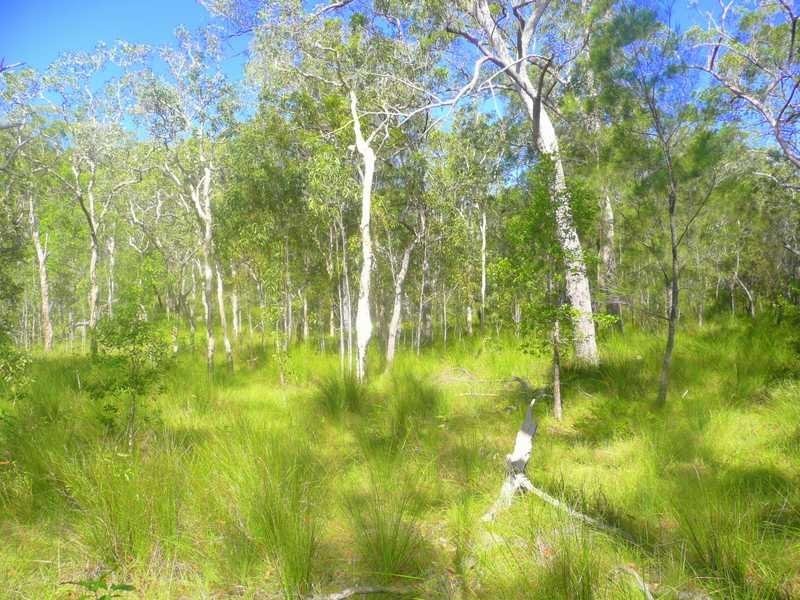 Lot 240 Baldaw, Captain Creek QLD 4677