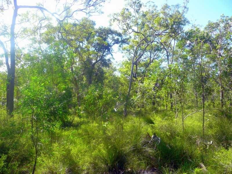 Lot 240 Baldaw, Captain Creek QLD 4677