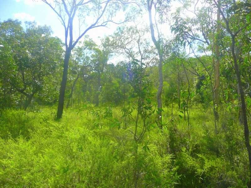 Lot 240 Baldaw, Captain Creek QLD 4677