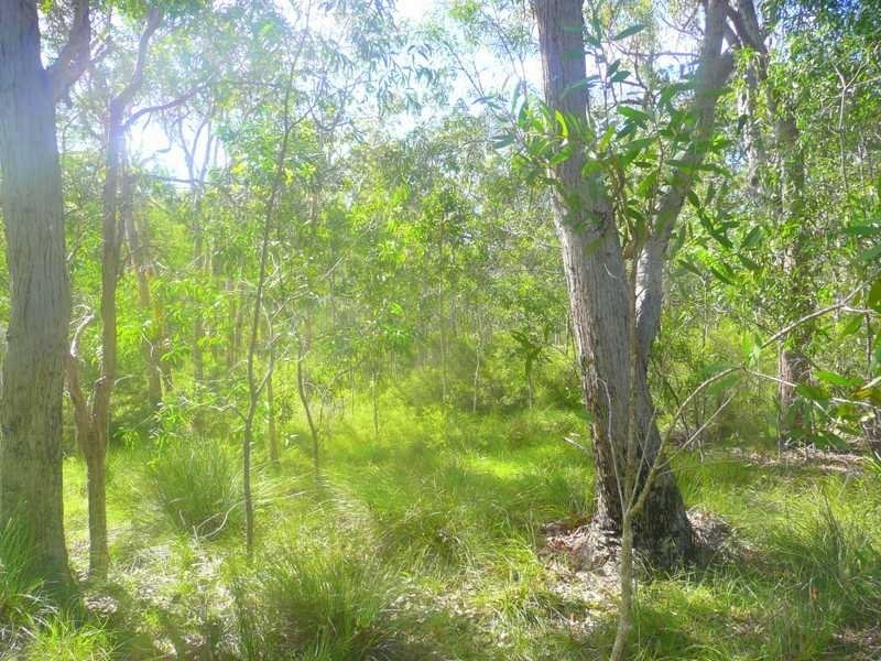 Lot 240 Baldaw, Captain Creek QLD 4677