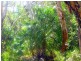 Lot 240 Baldaw, Captain Creek QLD 4677