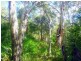 Lot 240 Baldaw, Captain Creek QLD 4677