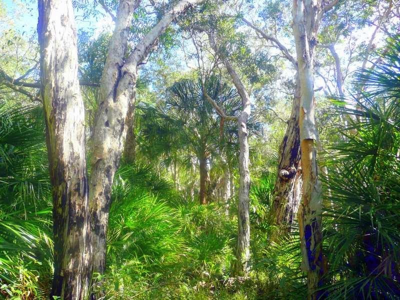 Lot 240 Baldaw, Captain Creek QLD 4677