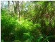 Lot 240 Baldaw, Captain Creek QLD 4677