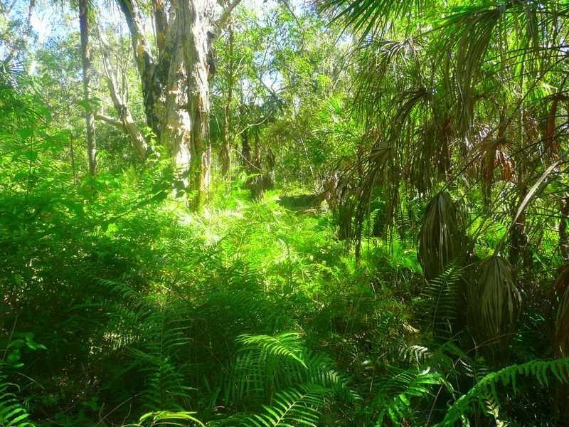 Lot 240 Baldaw, Captain Creek QLD 4677