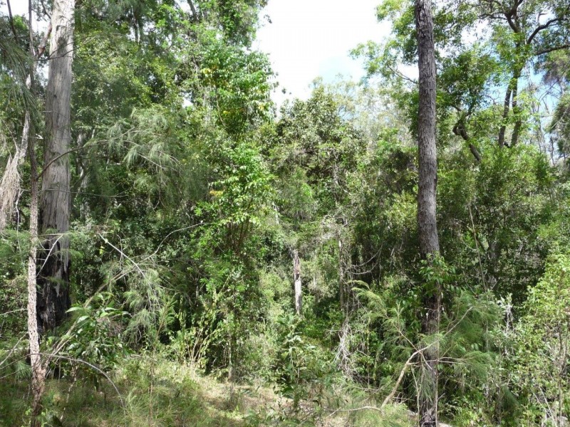 Captain Creek QLD 4677