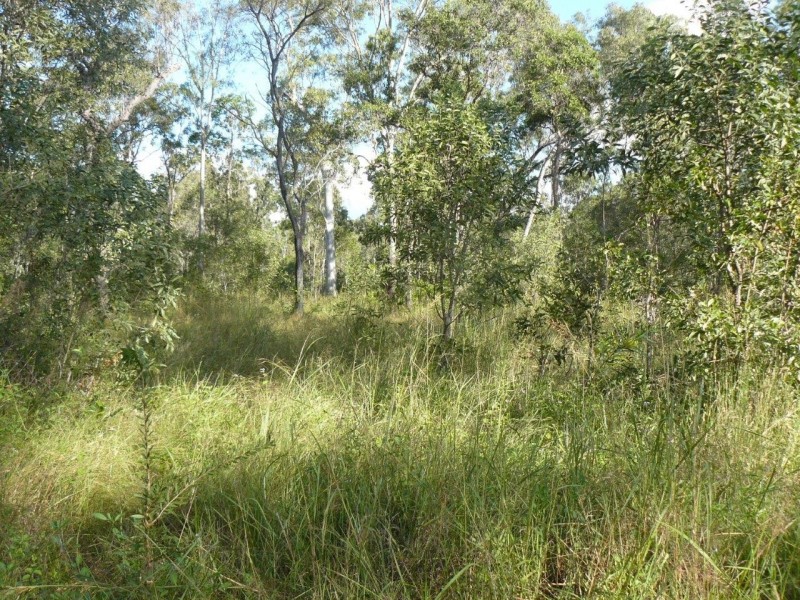 Captain Creek QLD 4677