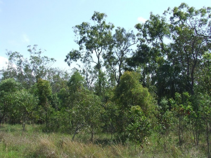 Agnes Water QLD 4677