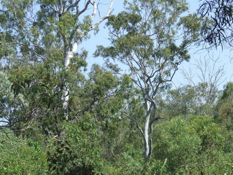 Agnes Water QLD 4677