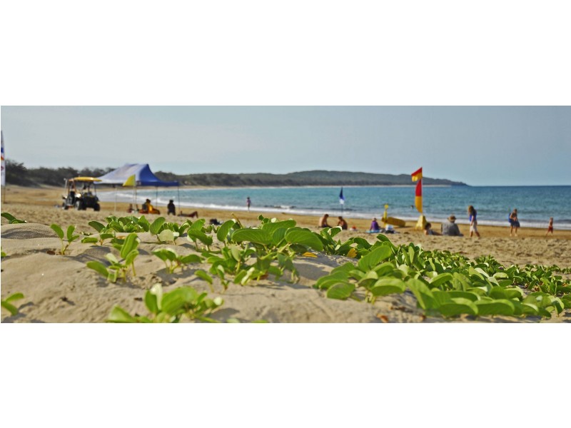 196 Anderson Way, Agnes Water QLD 4677