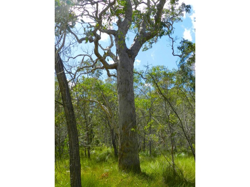 Lot 288 Masthead, Agnes Water QLD 4677
