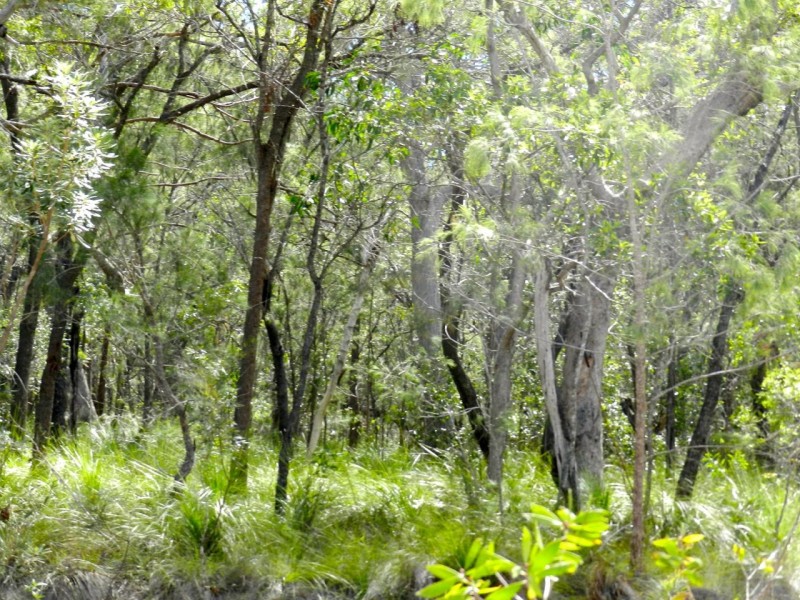 Lot 288 Masthead, Agnes Water QLD 4677