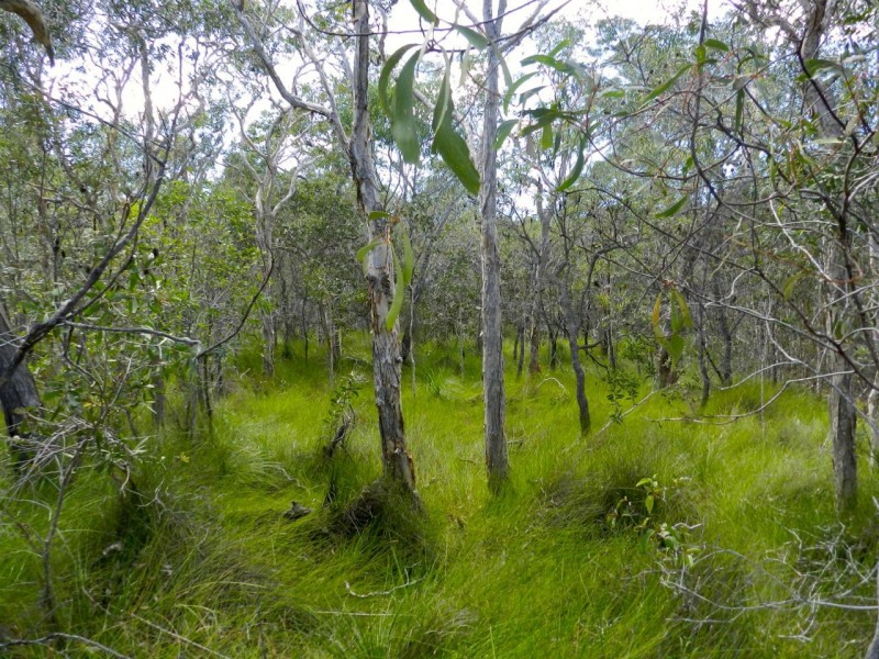 Lot 288 Masthead, Agnes Water QLD 4677
