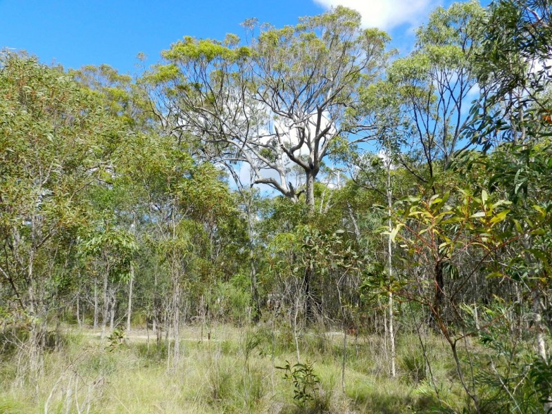 Lot 134 Lady Elliot Drive, Agnes Water QLD 4677