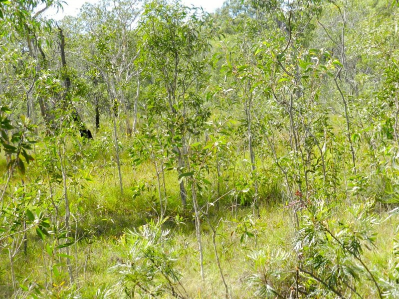 Lot 134 Lady Elliot Drive, Agnes Water QLD 4677