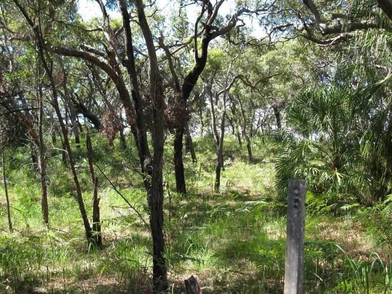 Agnes Water QLD 4677