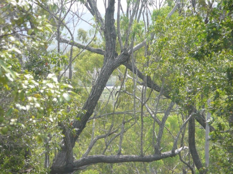 250 Innamincka Way, Agnes Water QLD 4677