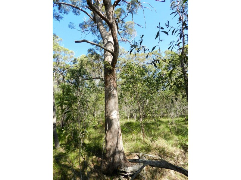 Agnes Water QLD 4677