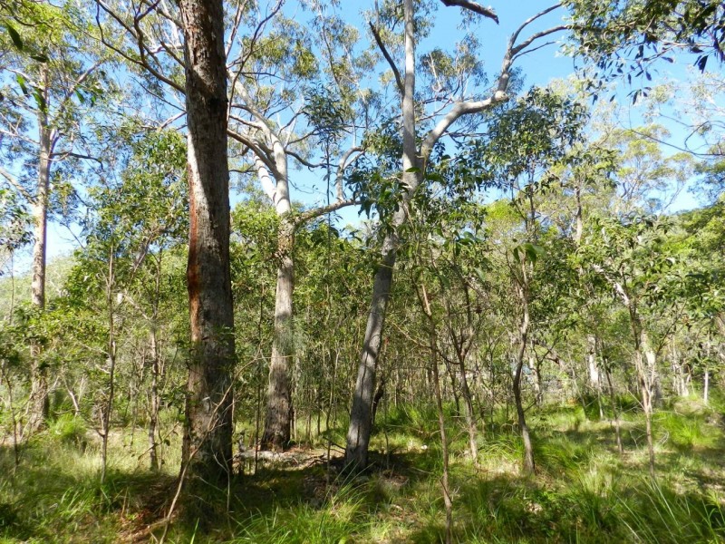 Agnes Water QLD 4677