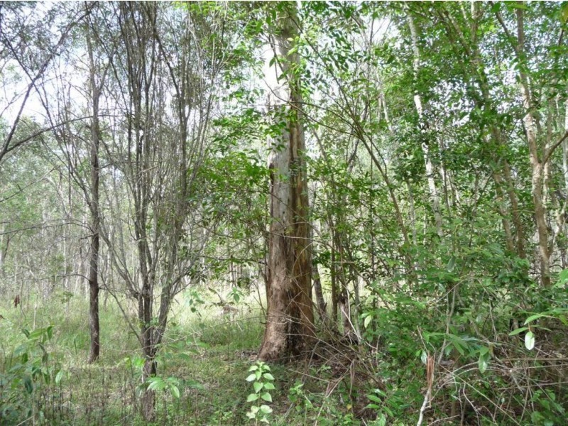 lot 19 and 20 Creevey Drive, Captain Creek QLD 4677