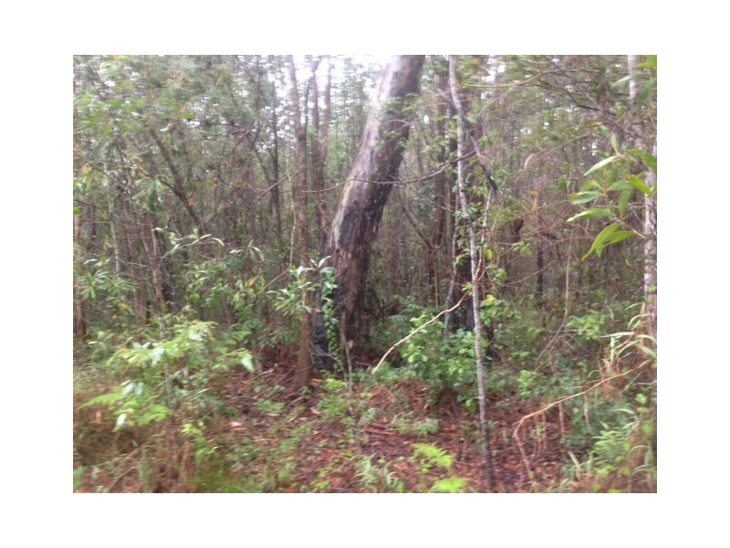 lot 19 and 20 Creevey Drive, Captain Creek QLD 4677