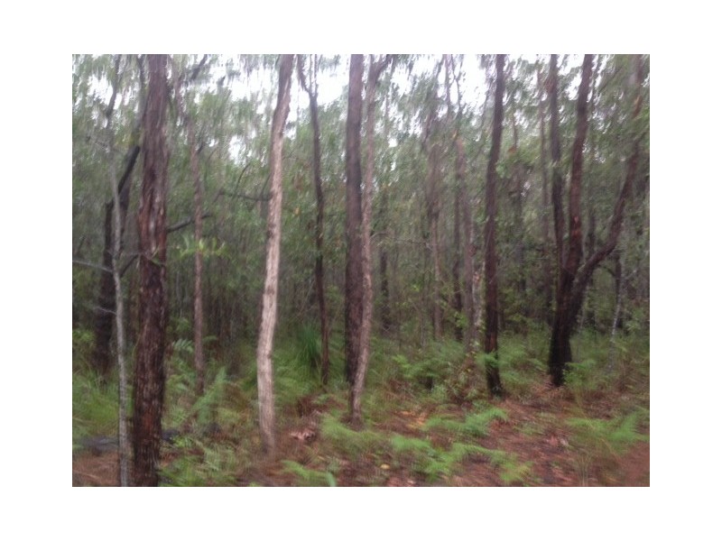 lot 19 and 20 Creevey Drive, Captain Creek QLD 4677