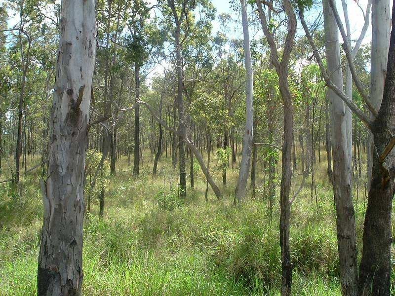 lot 20 Creevey Drive, Captain Creek QLD 4677
