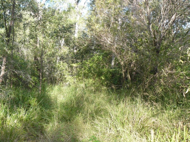 lot 20 Creevey Drive, Captain Creek QLD 4677