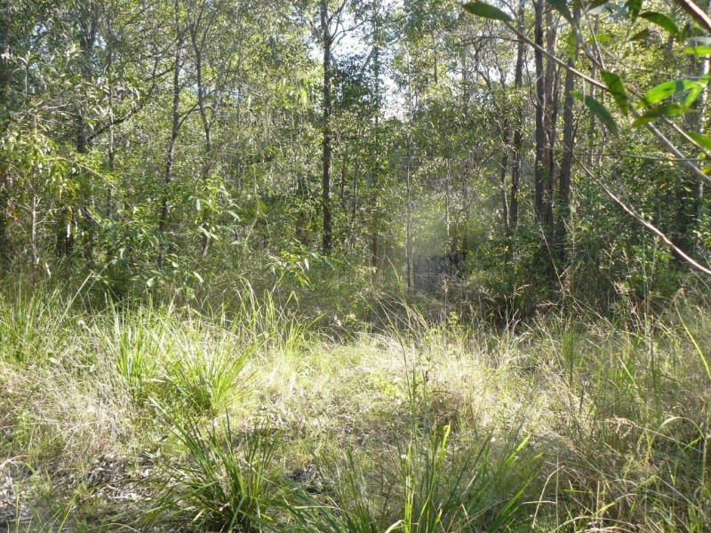 lot 20 Creevey Drive, Captain Creek QLD 4677