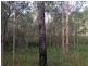 lot 20 Creevey Drive, Captain Creek QLD 4677