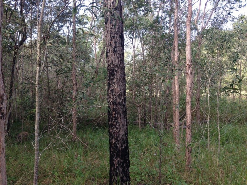 lot 20 Creevey Drive, Captain Creek QLD 4677