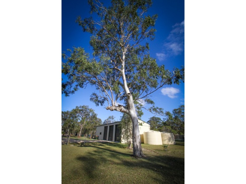 Agnes Water QLD 4677