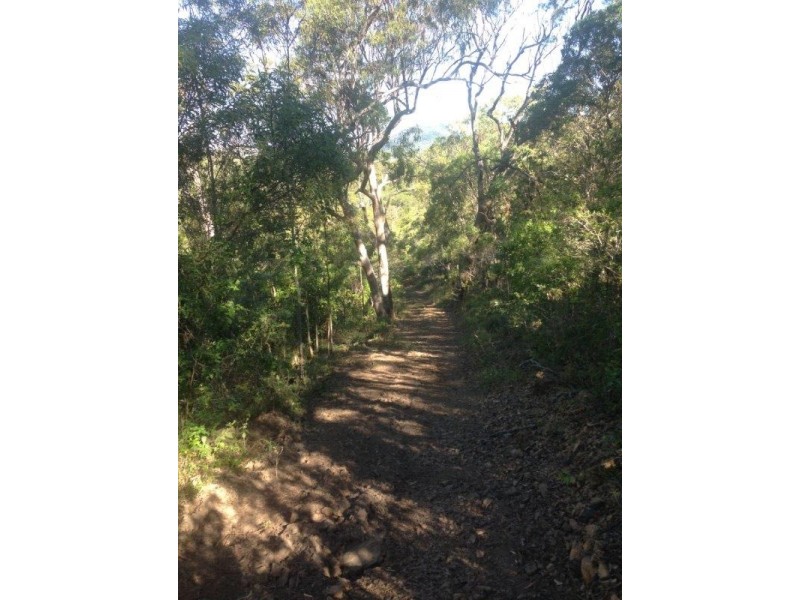 50 Fitzroy Crescent, Agnes Water QLD 4677