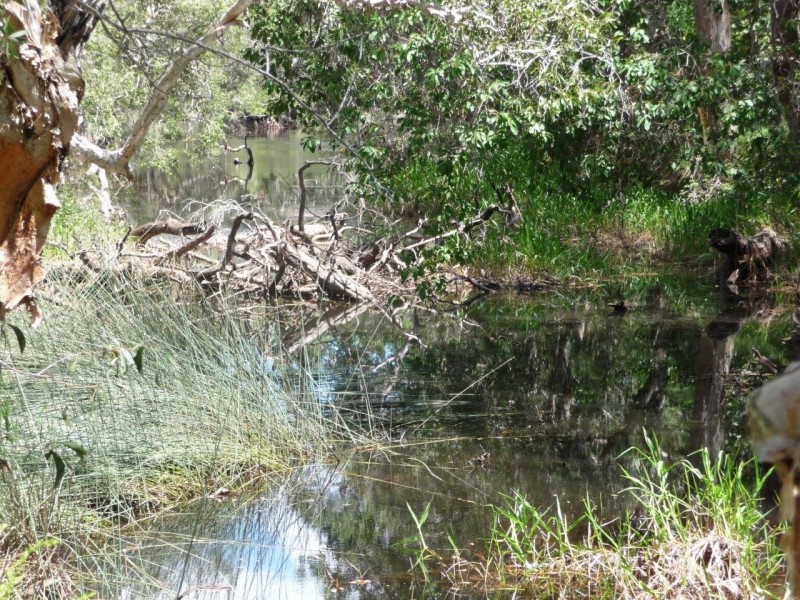582 Murphy Road, Captain Creek QLD 4677