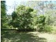 582 Murphy Road, Captain Creek QLD 4677