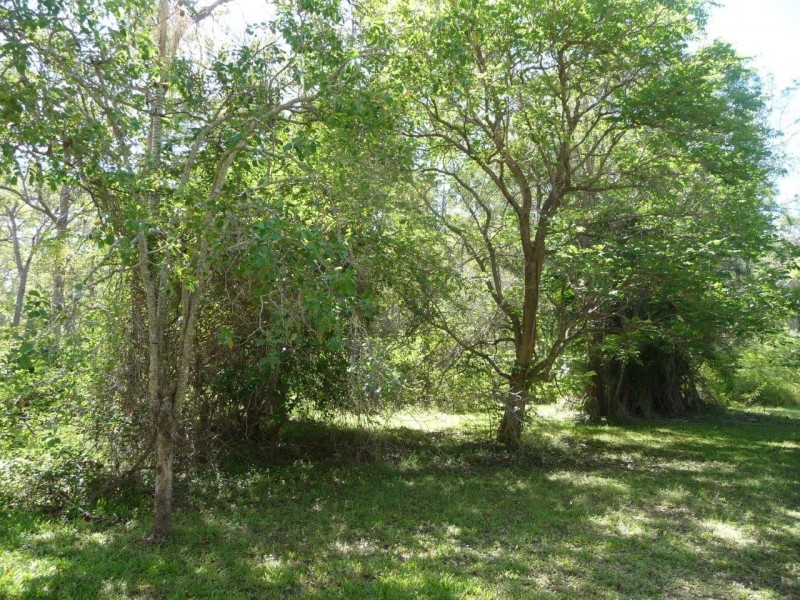 582 Murphy Road, Captain Creek QLD 4677