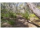81 Rafting Ground Road, Agnes Water QLD 4677