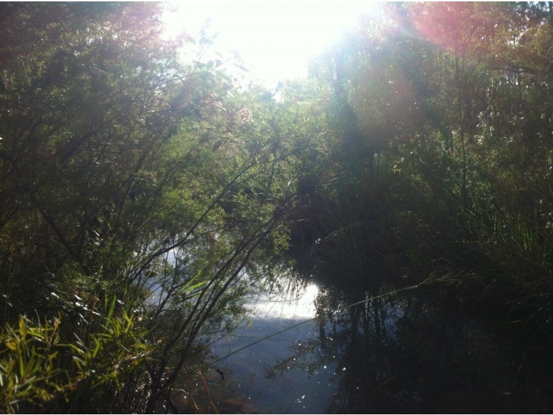 Captain Creek QLD 4677