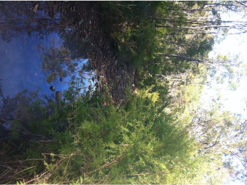 Captain Creek QLD 4677