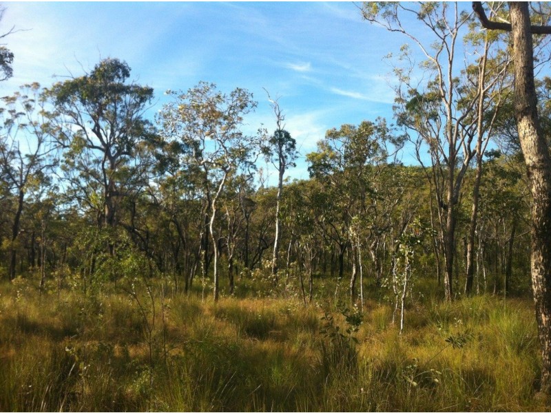 Captain Creek QLD 4677