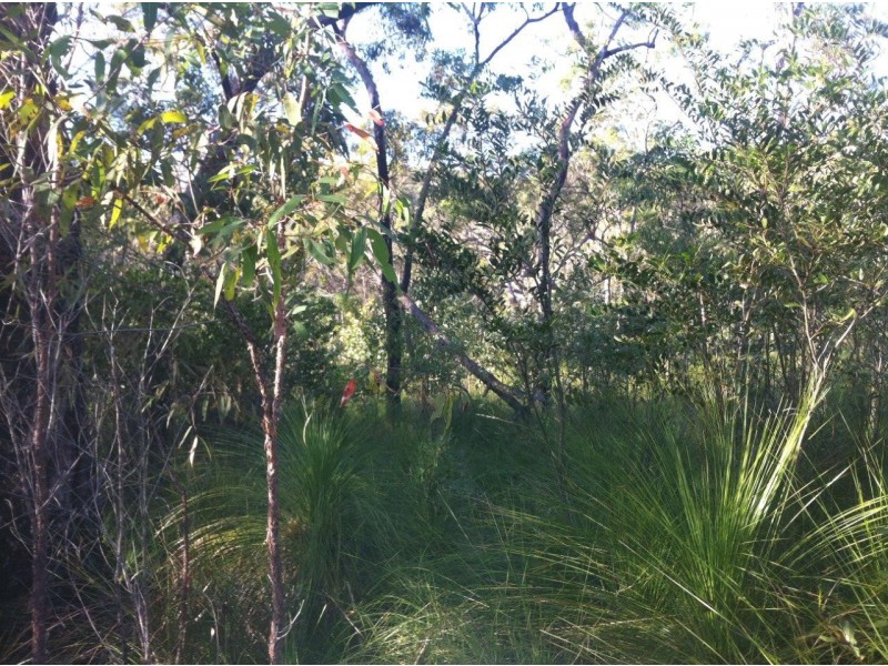 Captain Creek QLD 4677