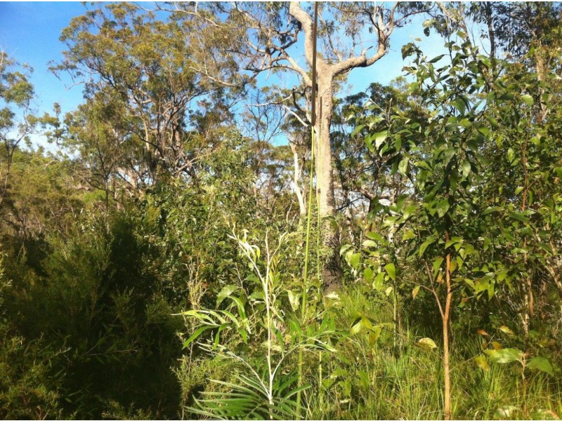 Captain Creek QLD 4677