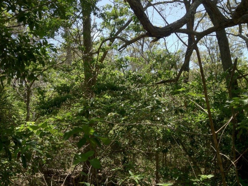 Agnes Water QLD 4677