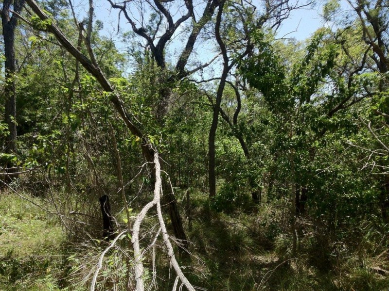 Agnes Water QLD 4677