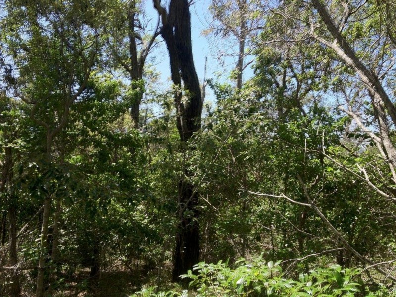 Agnes Water QLD 4677